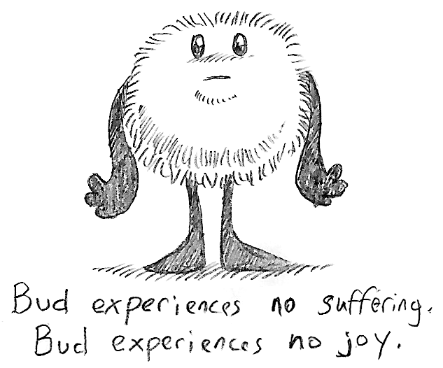 Bud