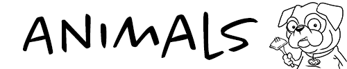 Animals