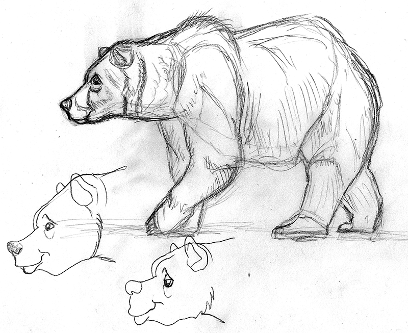 Animals