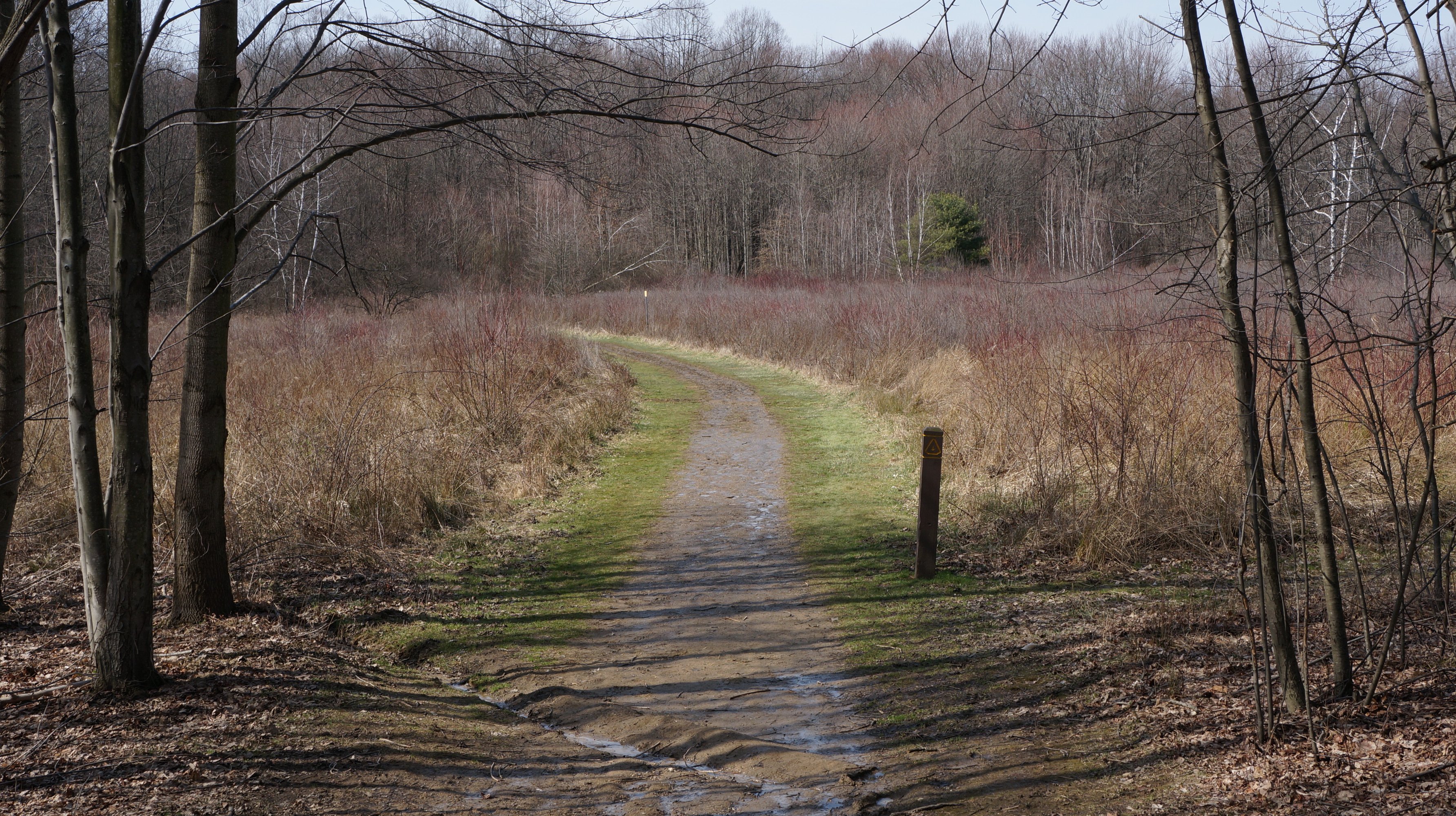 park photo