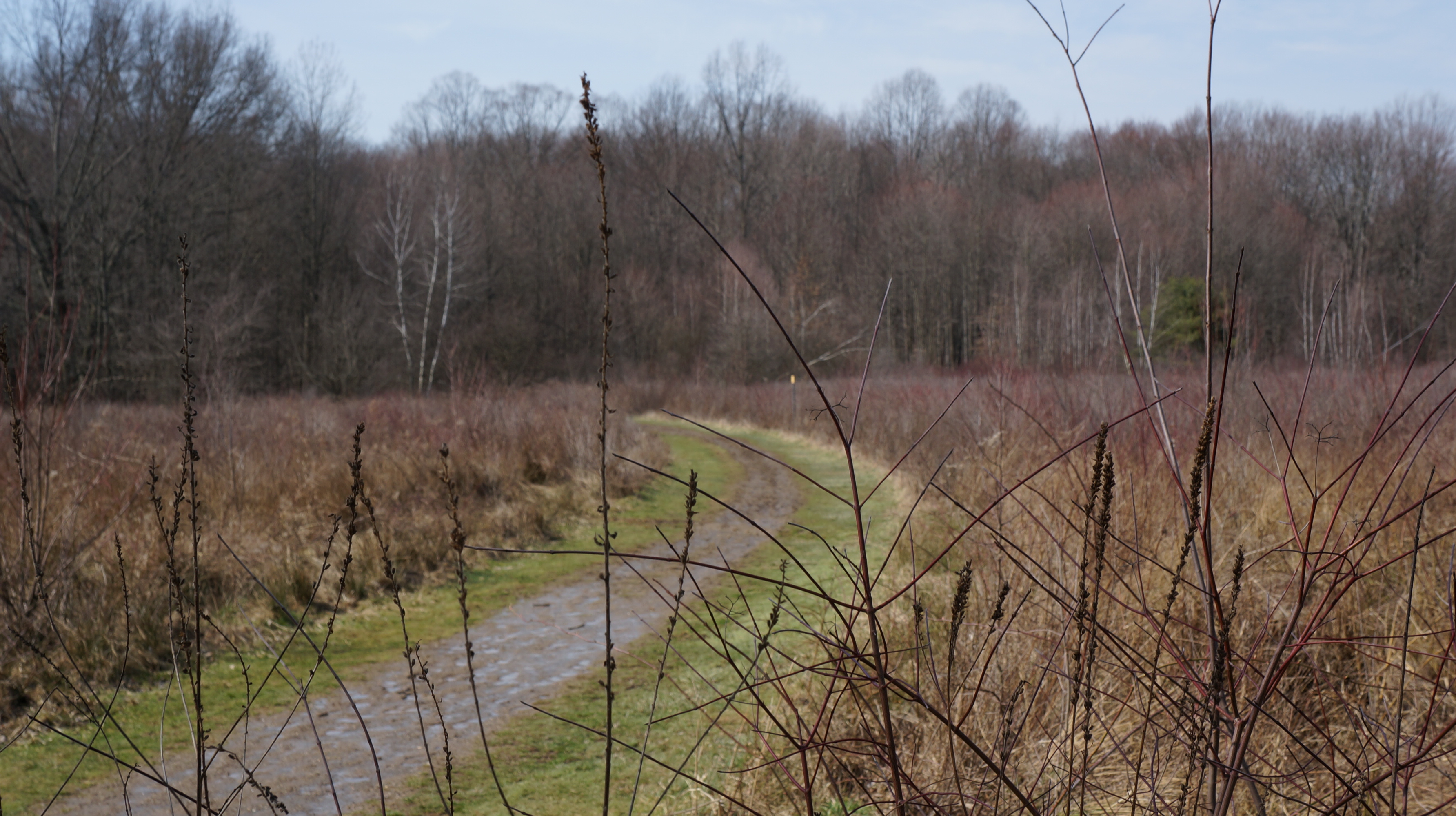 park photo