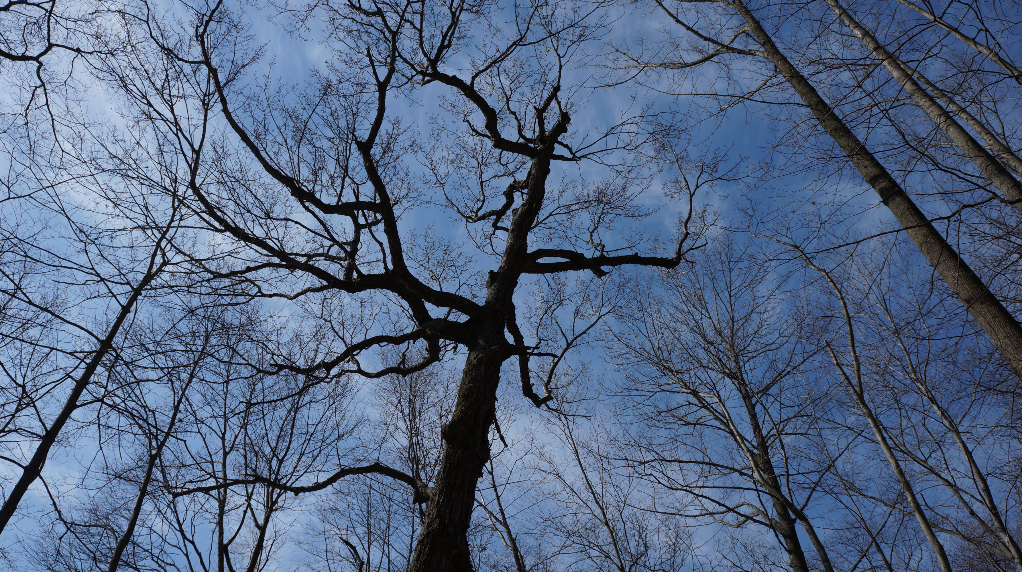park photo
