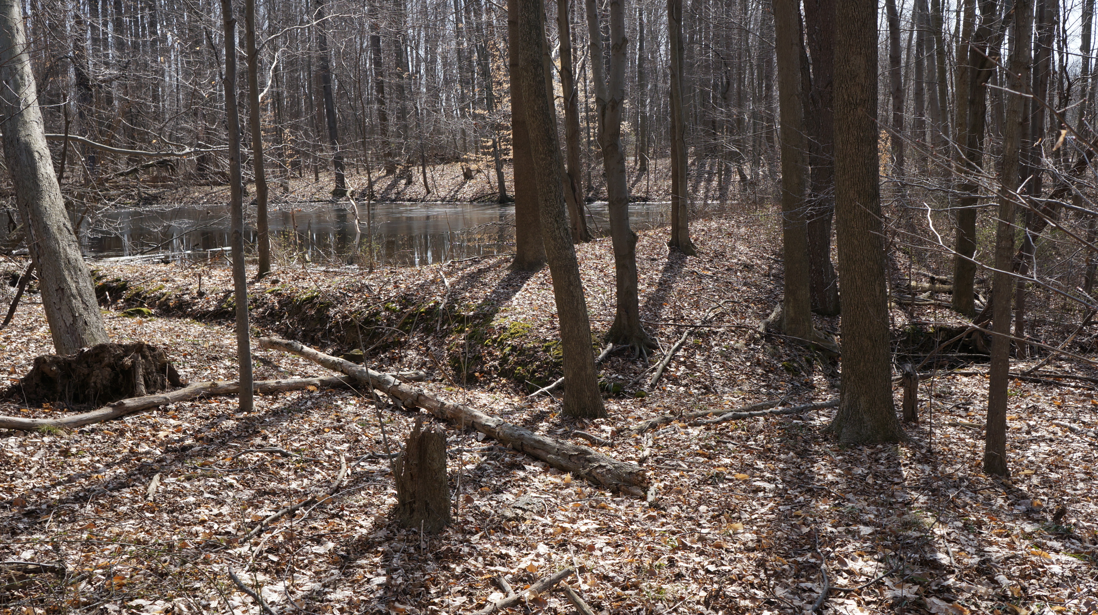 park photo