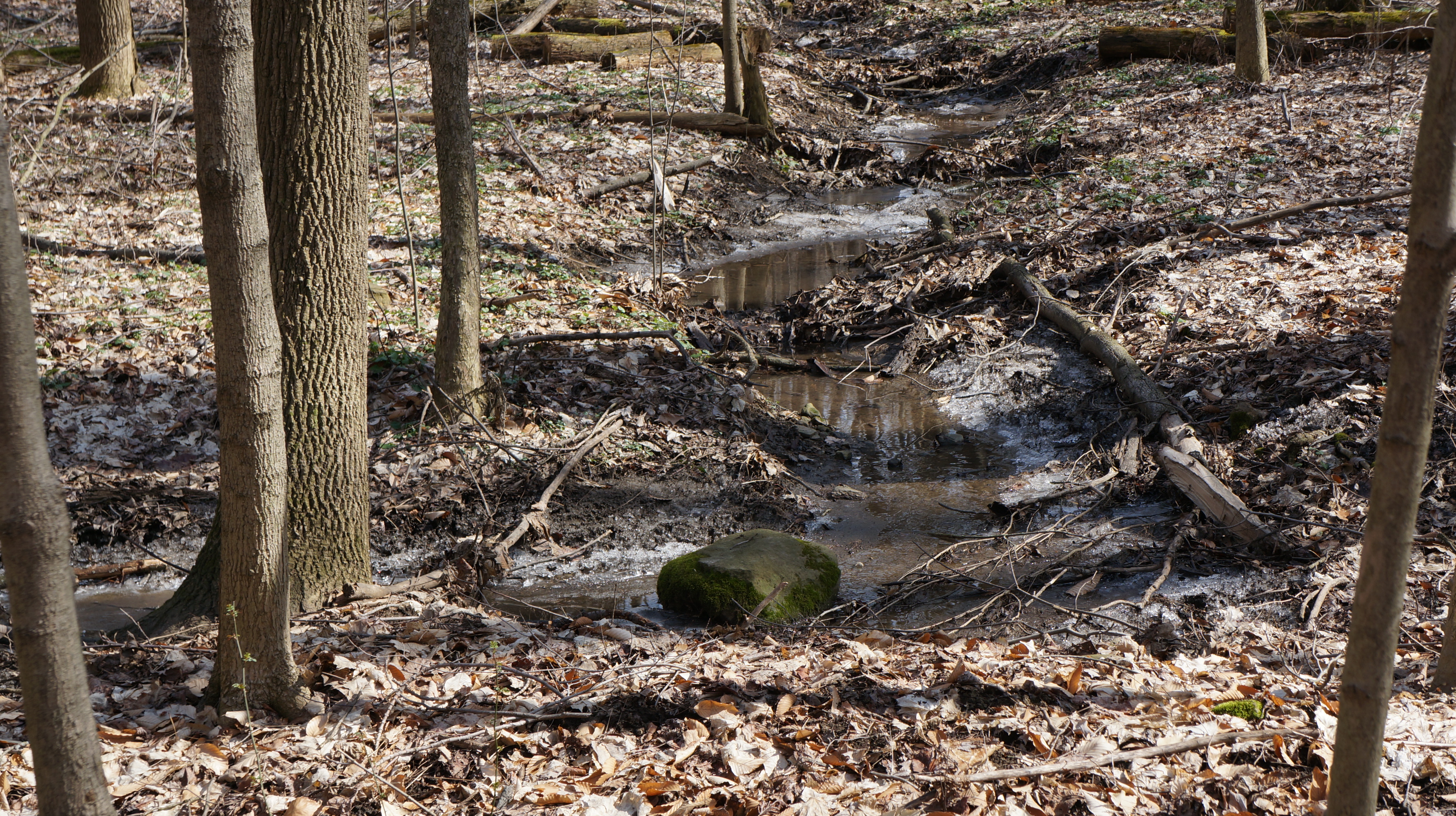 park photo