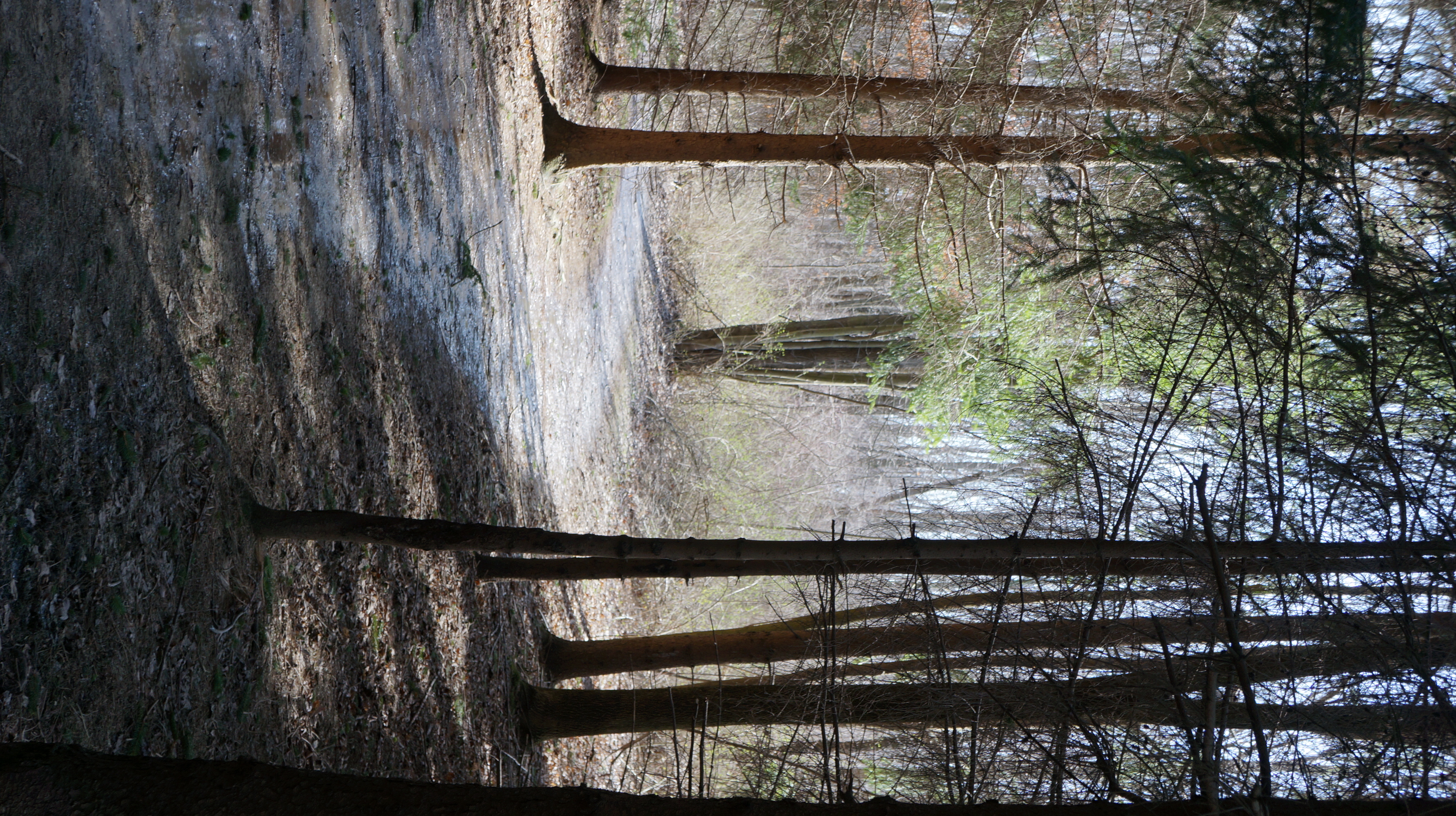 park photo